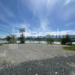 Teren_bradu-05