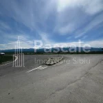 Teren_bradu-08