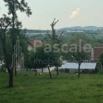 Casa Saliste-03