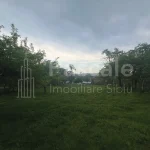 Casa Saliste-05