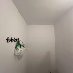 IMG-20250625-WA0012