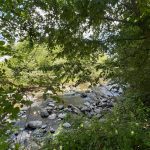 IMG-20250630-WA0014