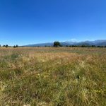 IMG-20250707-WA0023