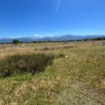 IMG-20250707-WA0030