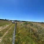 IMG-20250707-WA0033