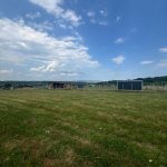IMG-20250725-WA0050