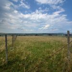 IMG-20250725-WA0053