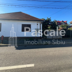 Pascale Imobiliare - Watermark